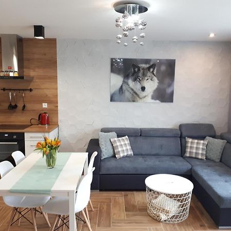 Apartamenty Pod Dzikowcem Богушув-Горце Экстерьер фото