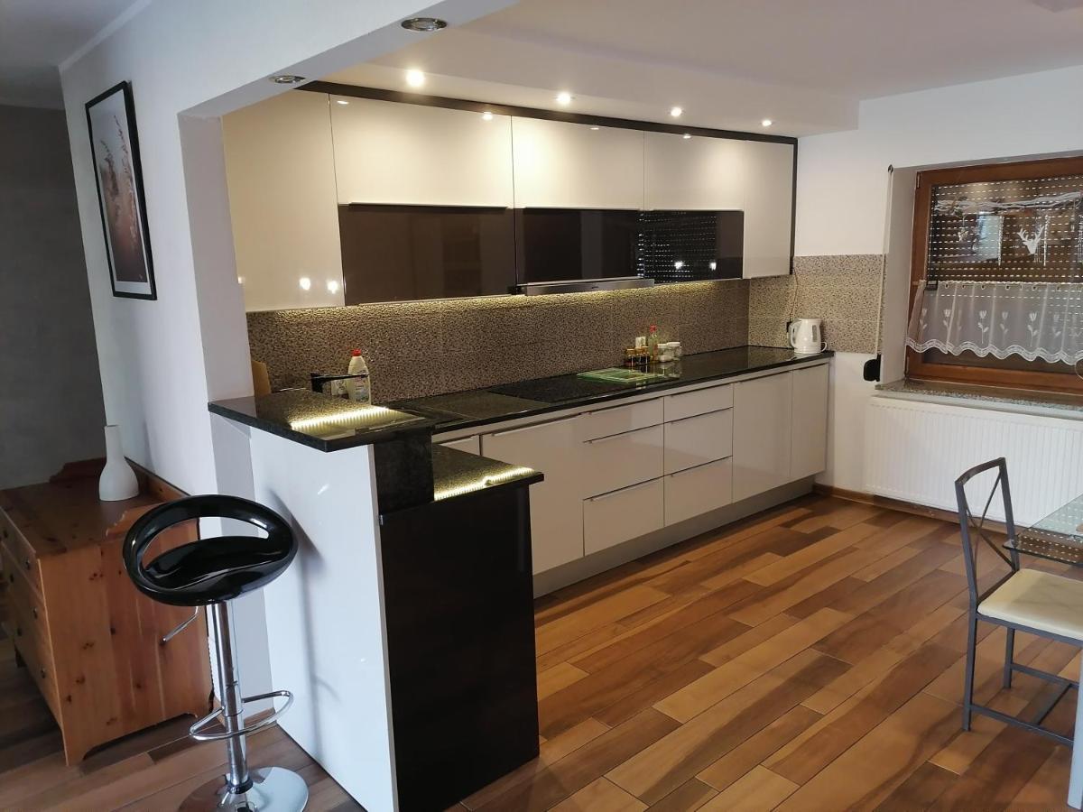 Apartamenty Pod Dzikowcem Богушув-Горце Экстерьер фото