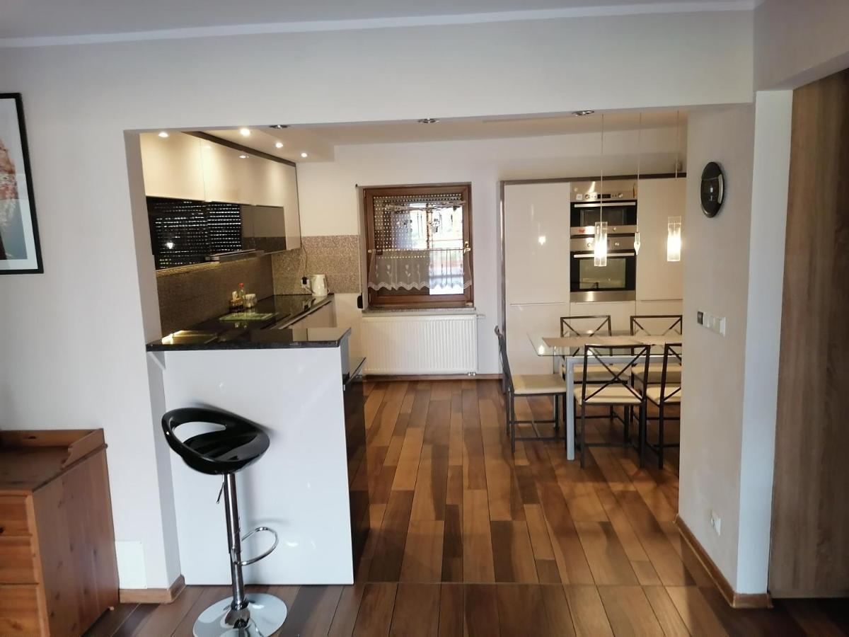 Apartamenty Pod Dzikowcem Богушув-Горце Экстерьер фото