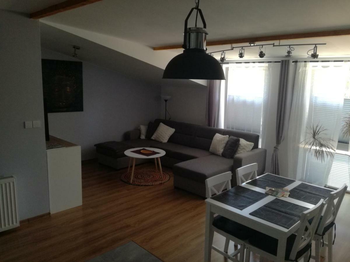 Apartamenty Pod Dzikowcem Богушув-Горце Экстерьер фото
