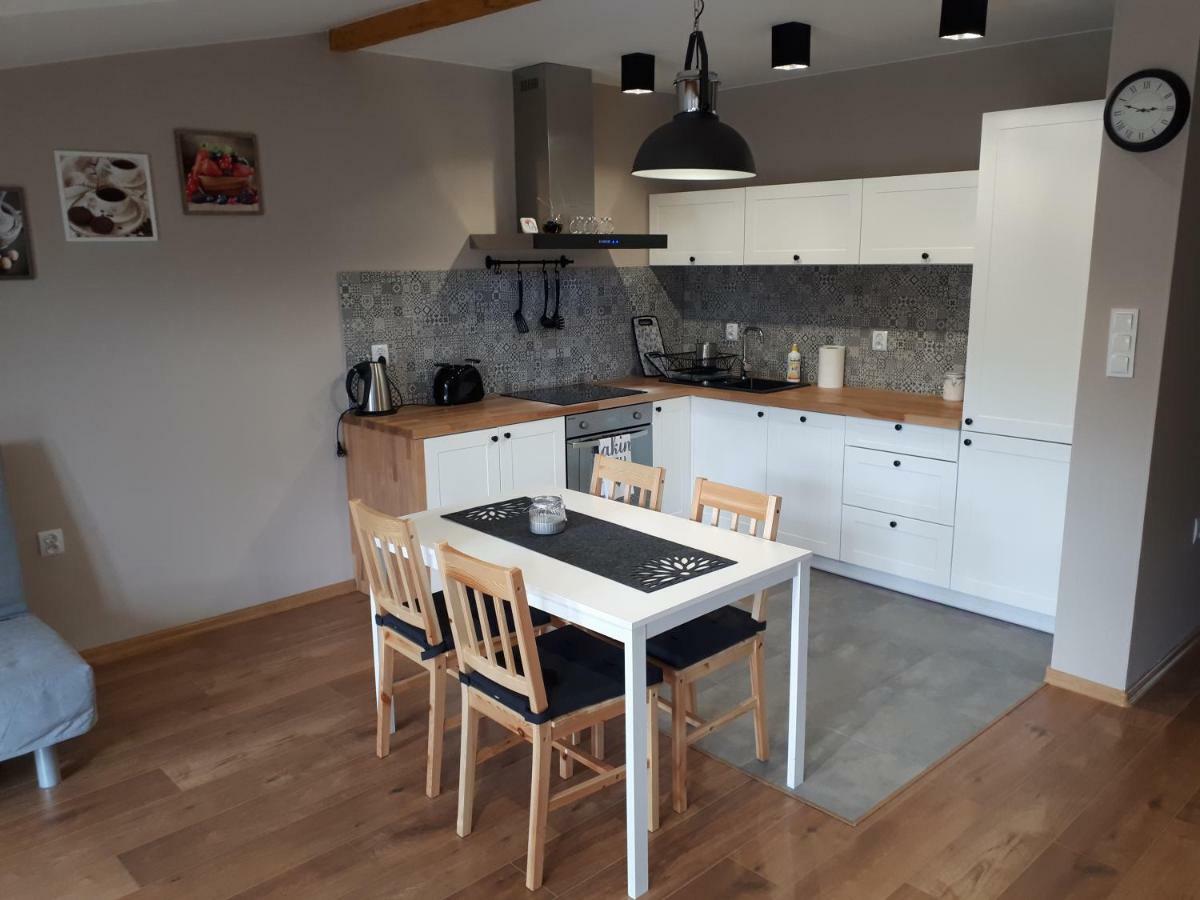Apartamenty Pod Dzikowcem Богушув-Горце Экстерьер фото